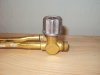 DSC00509.jpg