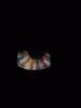 DSC01205.jpg