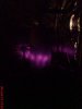 DSC01394.jpg