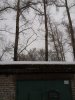 161720-cf0f0-74451088-400-u6952f.jpg