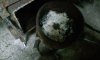 20161004_230316.jpg