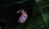 20161006_201306.jpg