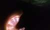 20161105_125626.jpg