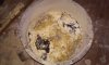 20161115_082019.jpg