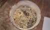 20161115_082128.jpg