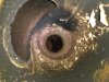 IMG_20170401_205107.jpg
