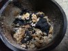 IMG_20170401_205435.jpg