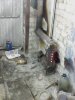 IMG0160A.jpg