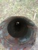 IMG_20171028_145349.jpg