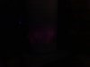 DSC06683_1.JPG