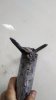 P_20180126_170135.jpg