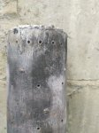 IMG_20190218_100554.jpg