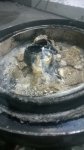 WP_20190312_001.jpg