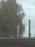 IMG_20191005_134010.jpg