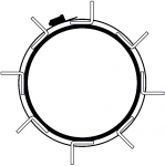 or.png