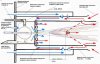 Окончательный вариант горелки на отработке.jpg