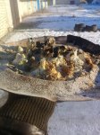 20201207_131725.jpg