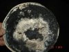DSC07848.jpg