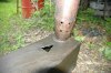 DSC_7110.jpg
