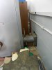 DSCN5386.jpg