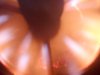 DSCN1486.JPG