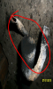 mtp_11514234943.png