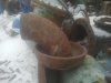 2015-12-09 13.13.00.jpg
