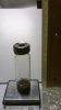 WP_20160207_21_00_43_Pro.jpg