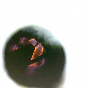 05042010461[1]