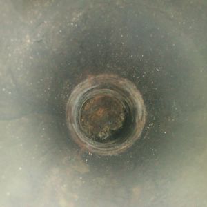 DSC 0010
