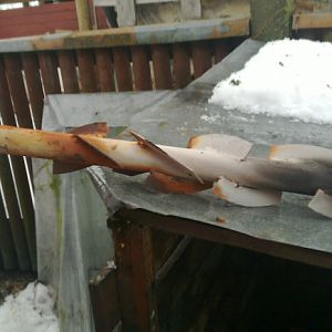 После трёх месяцев без чистки