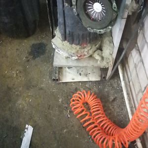 IMG 1479546103946 V