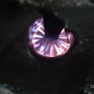 P70108 194956