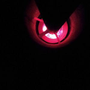 IMG 2017 01 26 162852 HHT
